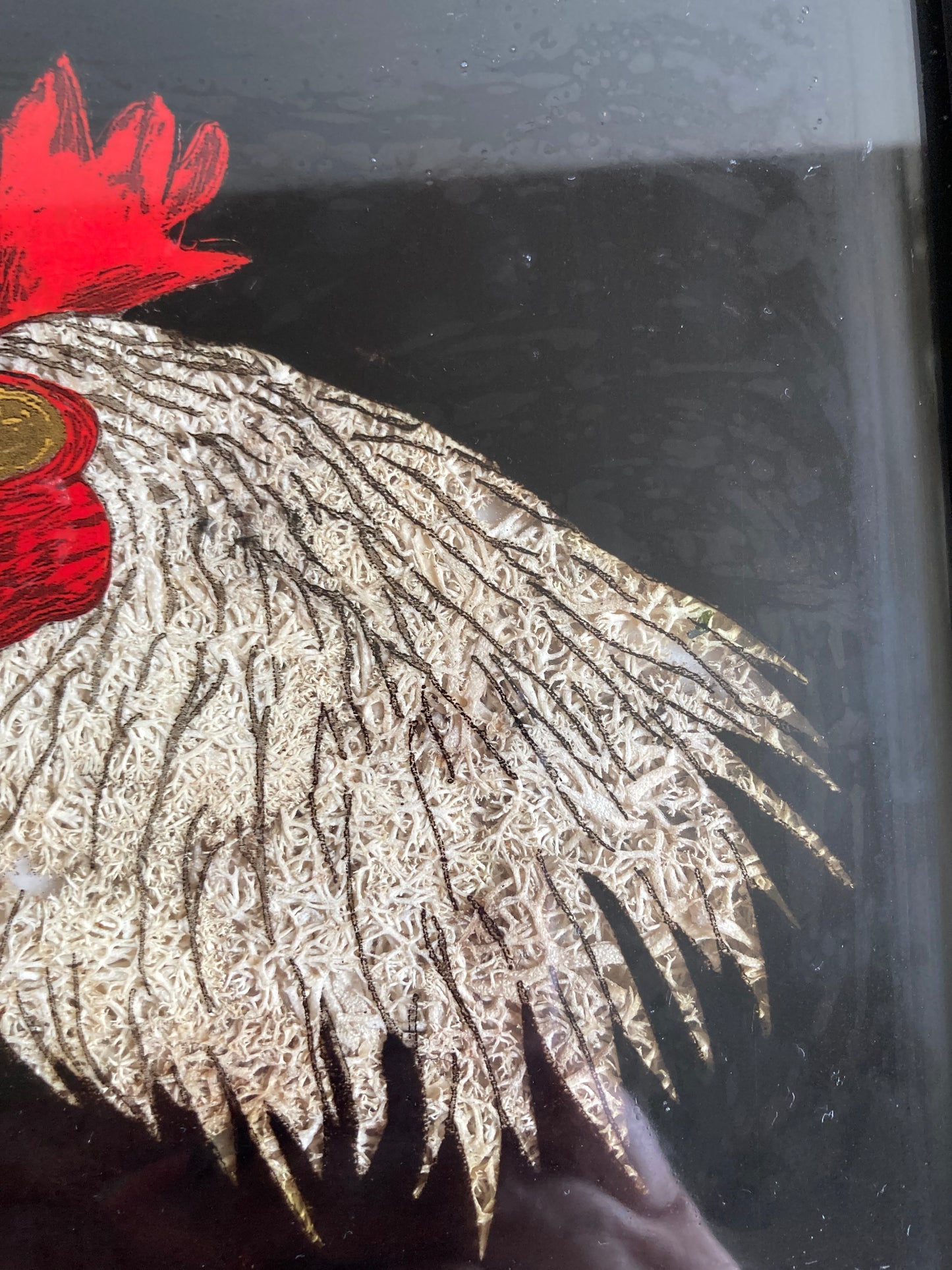 Rooster Art Framed Cockeral ‘The Colonal’ by The March Hare Nature Art