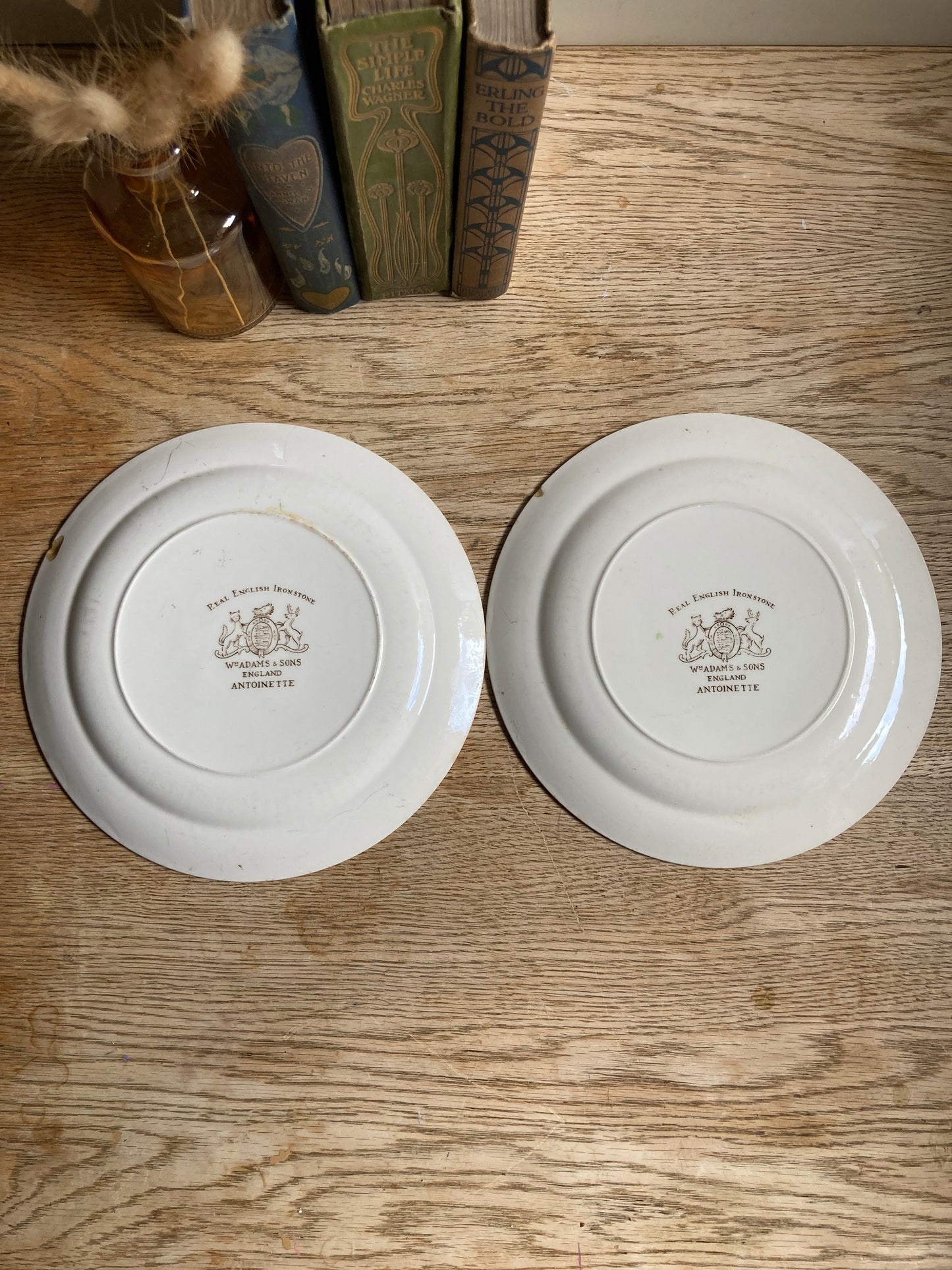 William Adam’s Ironstone Plate x2 Antoinette Rare Plate Wall