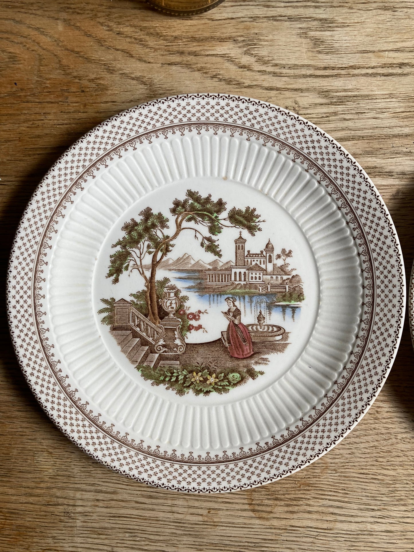 William Adam’s Ironstone Plate x2 Antoinette Rare Plate Wall
