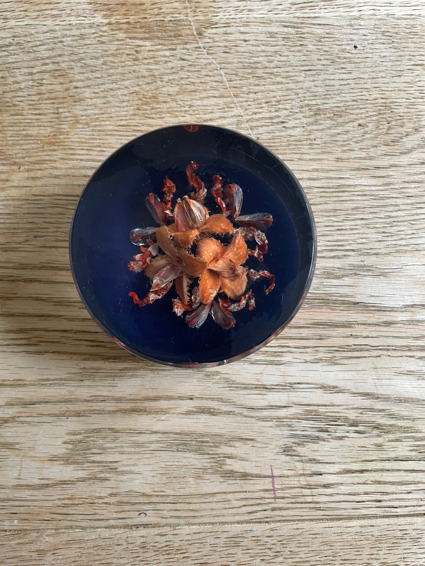 Skipness Crafts Resin Floral Seed Cases Paperweight Vintage
