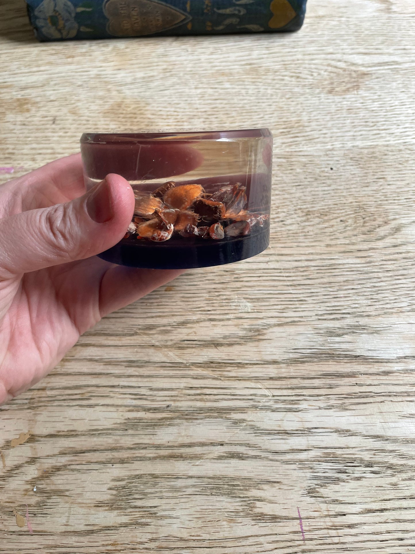 Skipness Crafts Resin Floral Seed Cases Paperweight Vintage