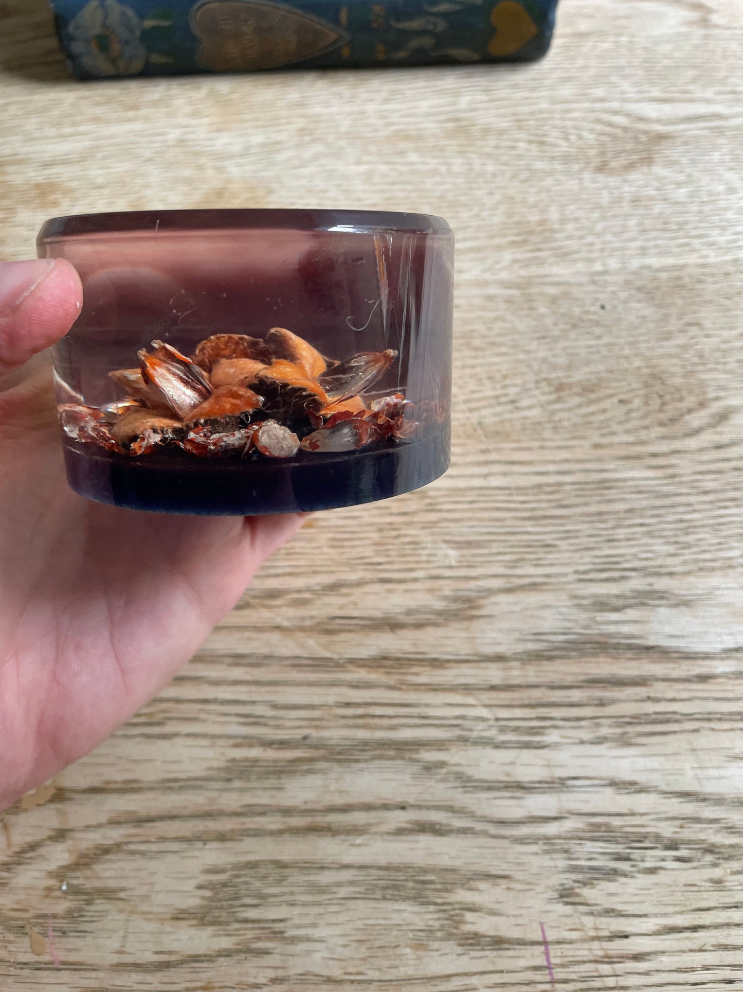 Skipness Crafts Resin Floral Seed Cases Paperweight Vintage