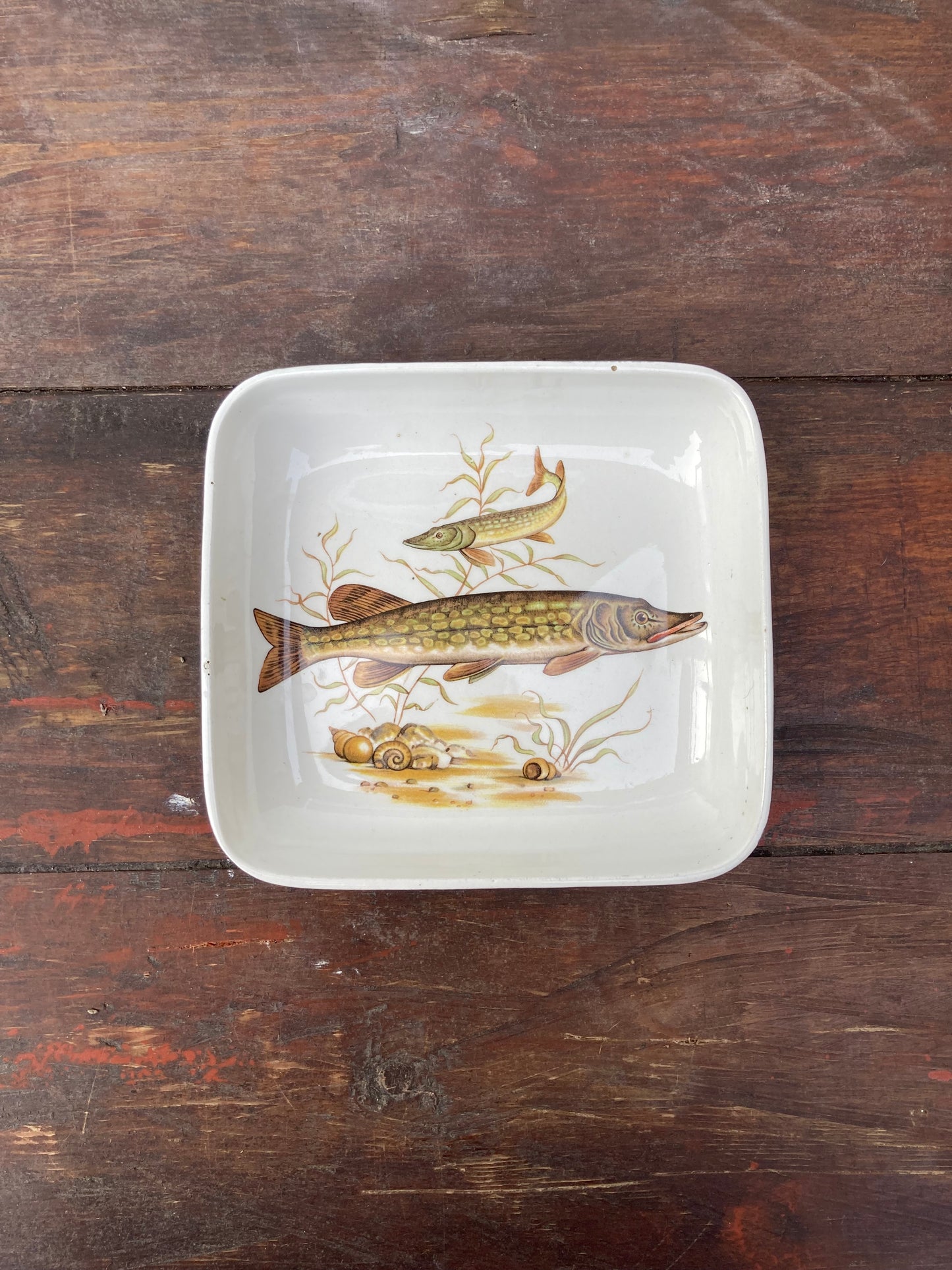 Vintage Pike Fish Themed Small Square Shaped Dish