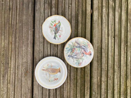 Vintage Ceramic Bird Plates Set of 3 Bone China Small Decor