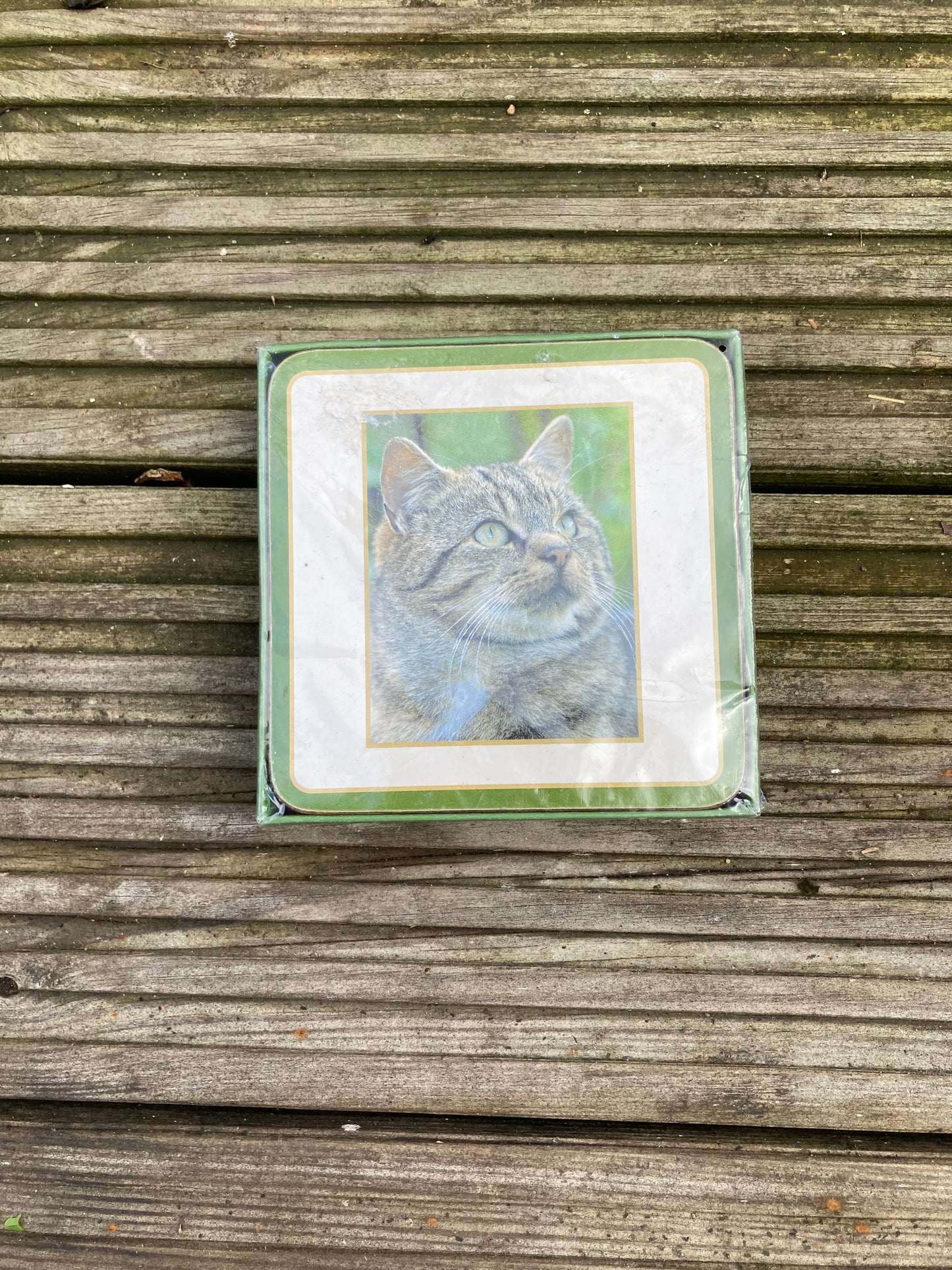 Tabby Cat Set of 6 Coasters by Faithful Friends
