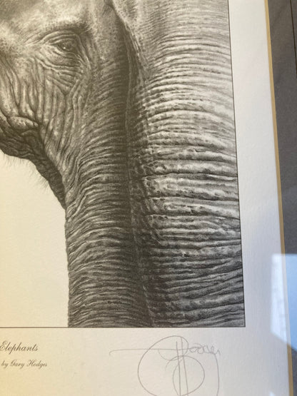 Gary Hodges Limited Edition Print Asian Elephant Pencil Drawing Signed 464/860