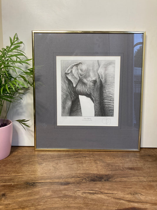 Gary Hodges Limited Edition Print Asian Elephant Pencil Drawing Signed 464/860