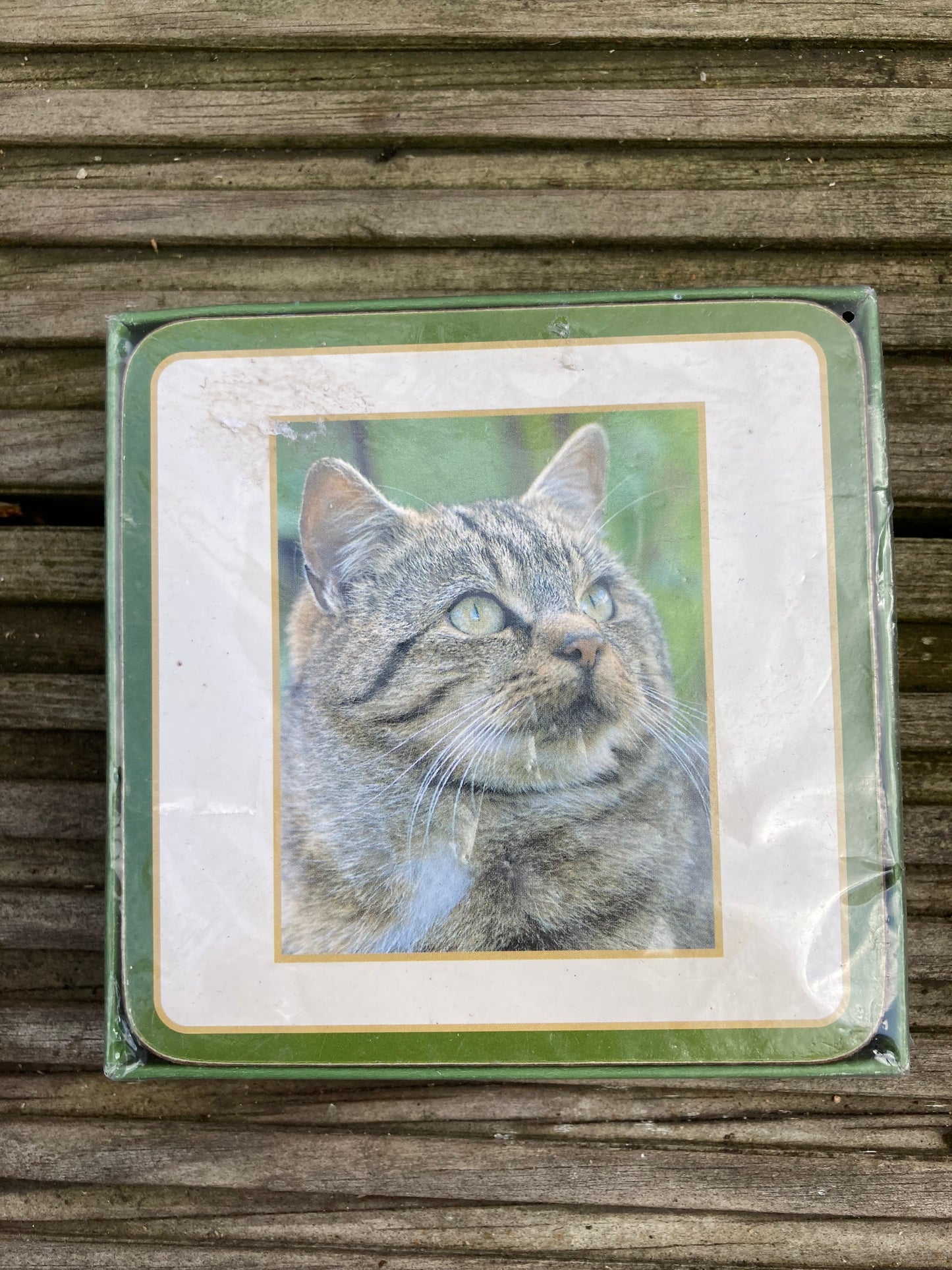Tabby Cat Set of 6 Coasters by Faithful Friends