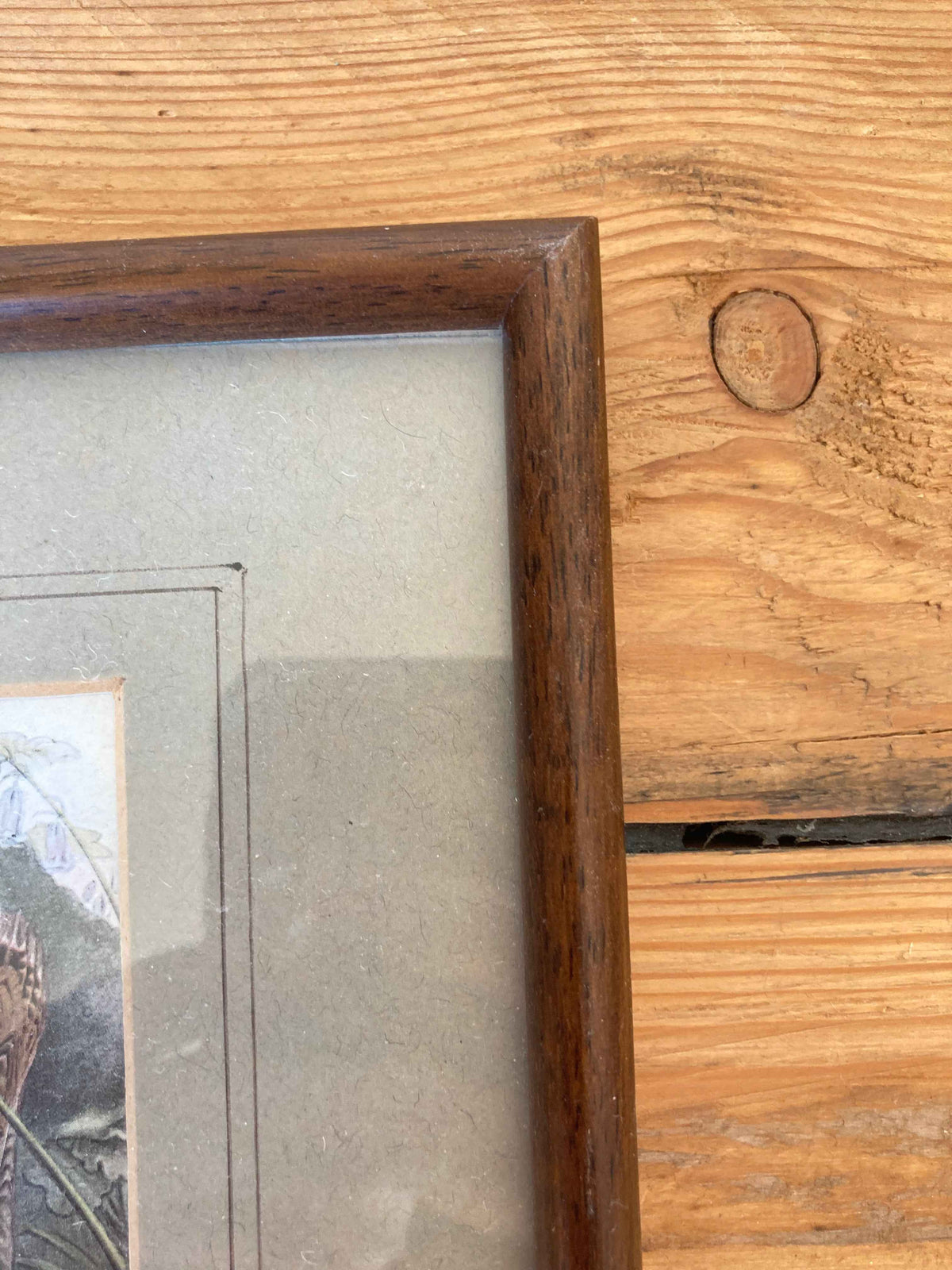 Vintage Basil Ede Woodcock Print, Framed Wildlife Bird Artwork
