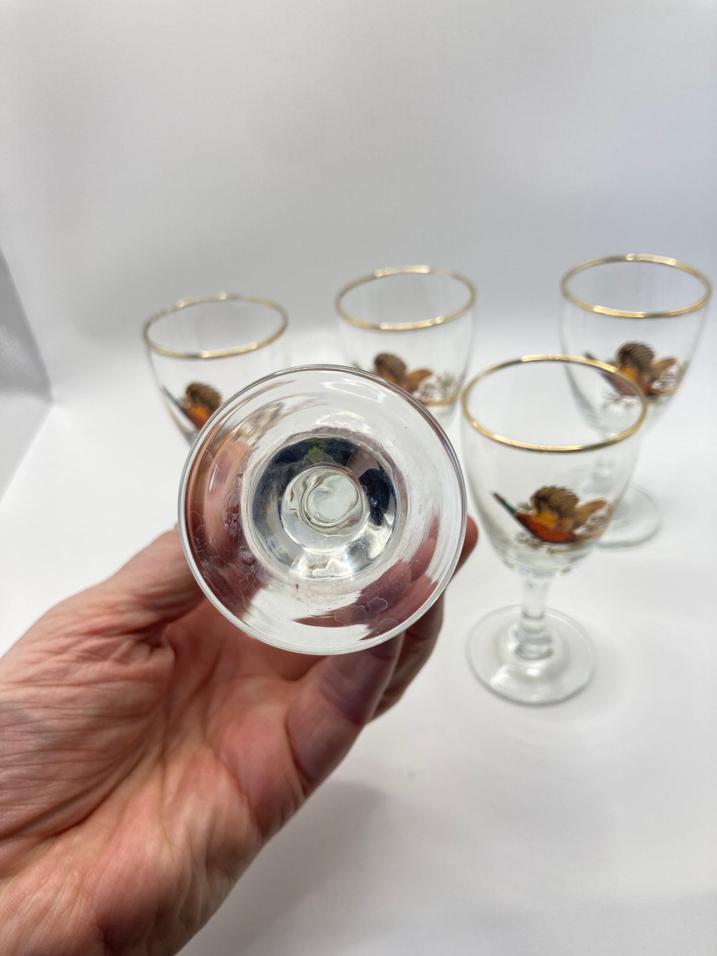 Glasses - Bloom & Heirloom Vintage Decor