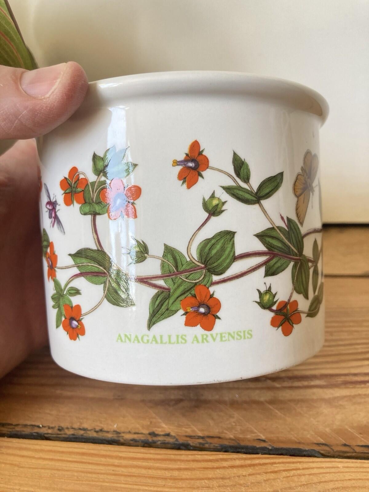 Vintage Portmerion Botanic Garden Scarlet Pimpernel Plant Pot 8.5cm tall