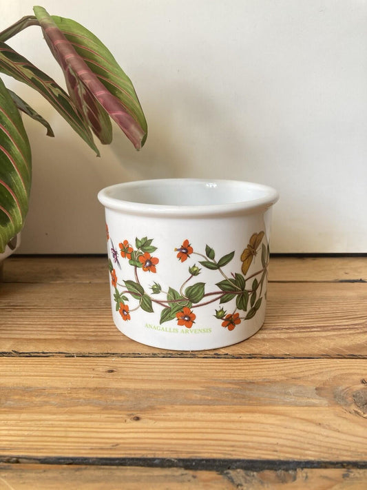 Vintage Portmerion Botanic Garden Scarlet Pimpernel Plant Pot 8.5cm tall