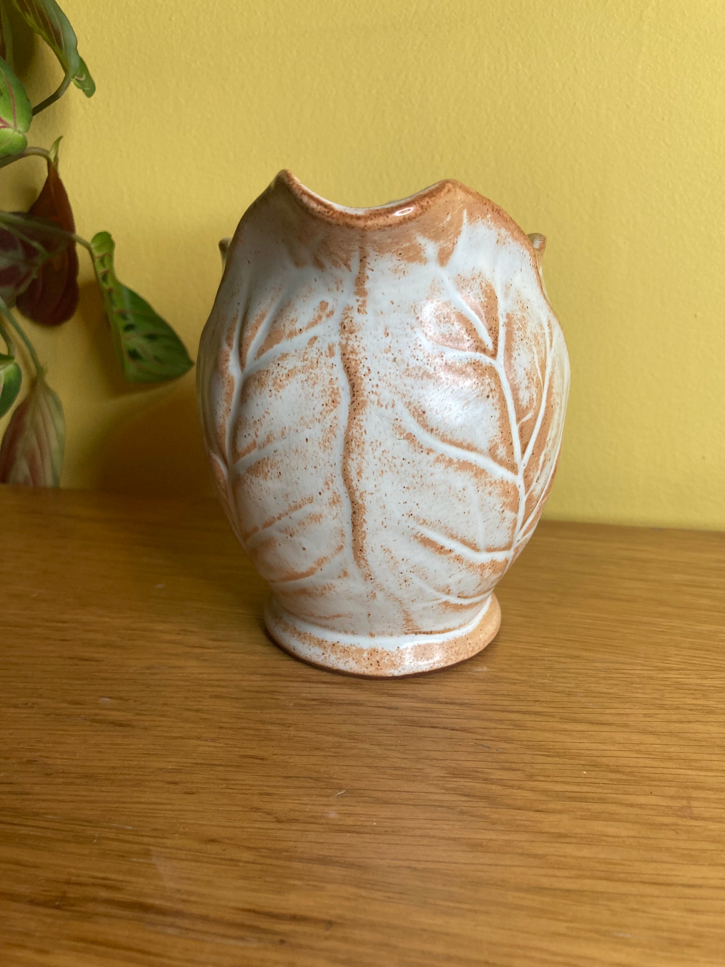 Leaf Pattern Jug Studio Pottery Terracotta with White Glaze