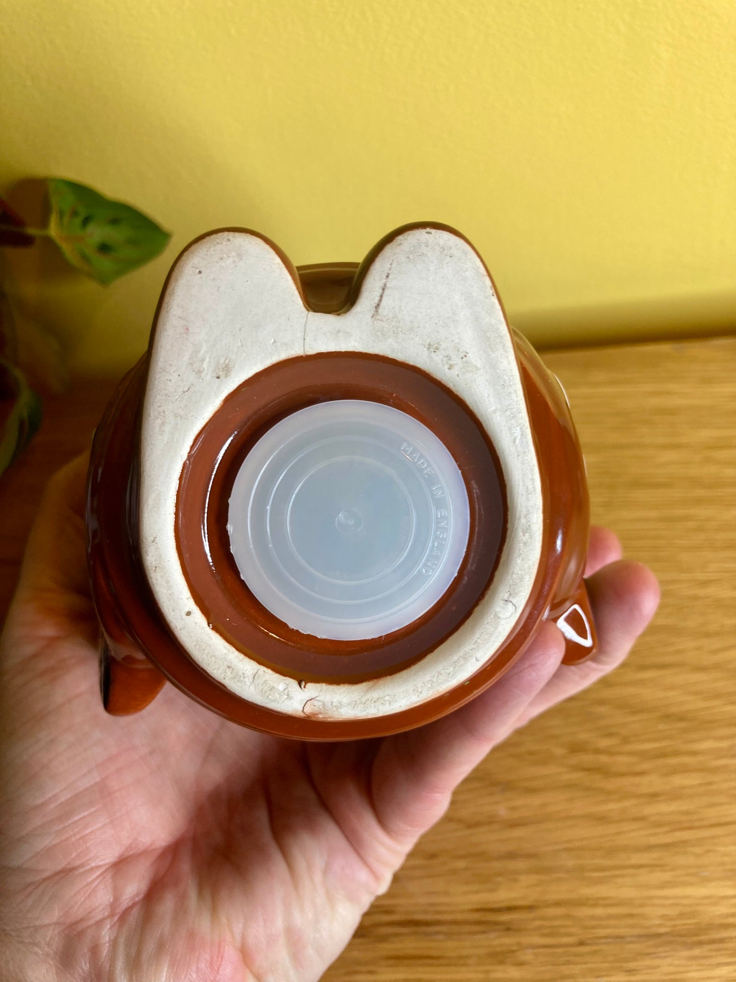 Hugh Taylor Indigenous Native American Money Box 1985