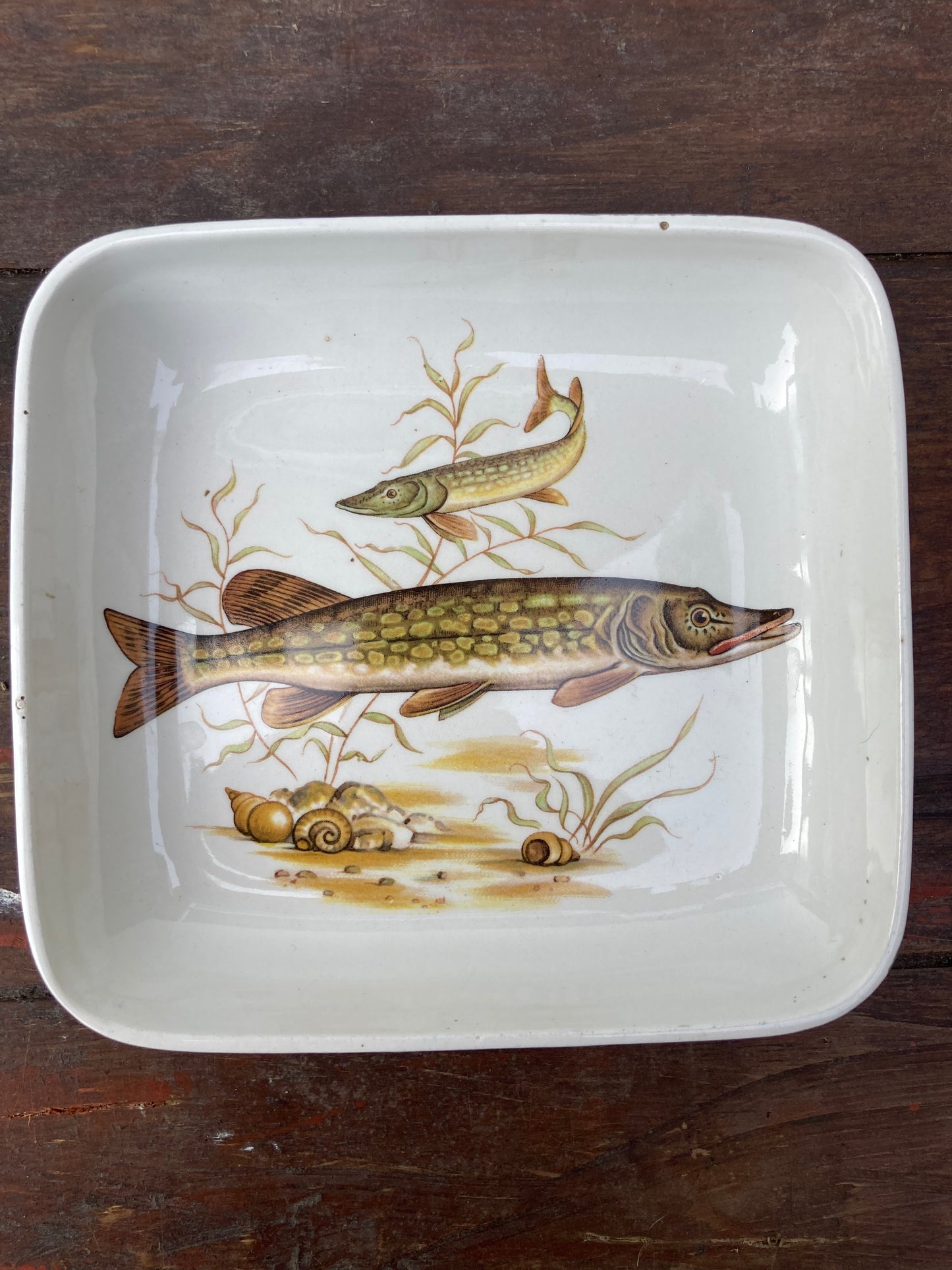 Vintage Pike Fish Themed Small Square Shaped Dish