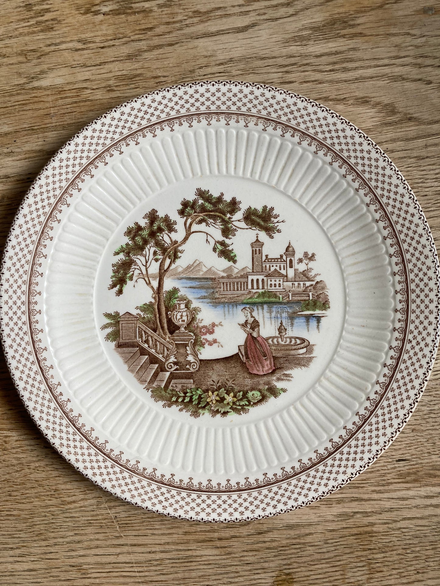 William Adam’s Ironstone Plate x2 Antoinette Rare Plate Wall