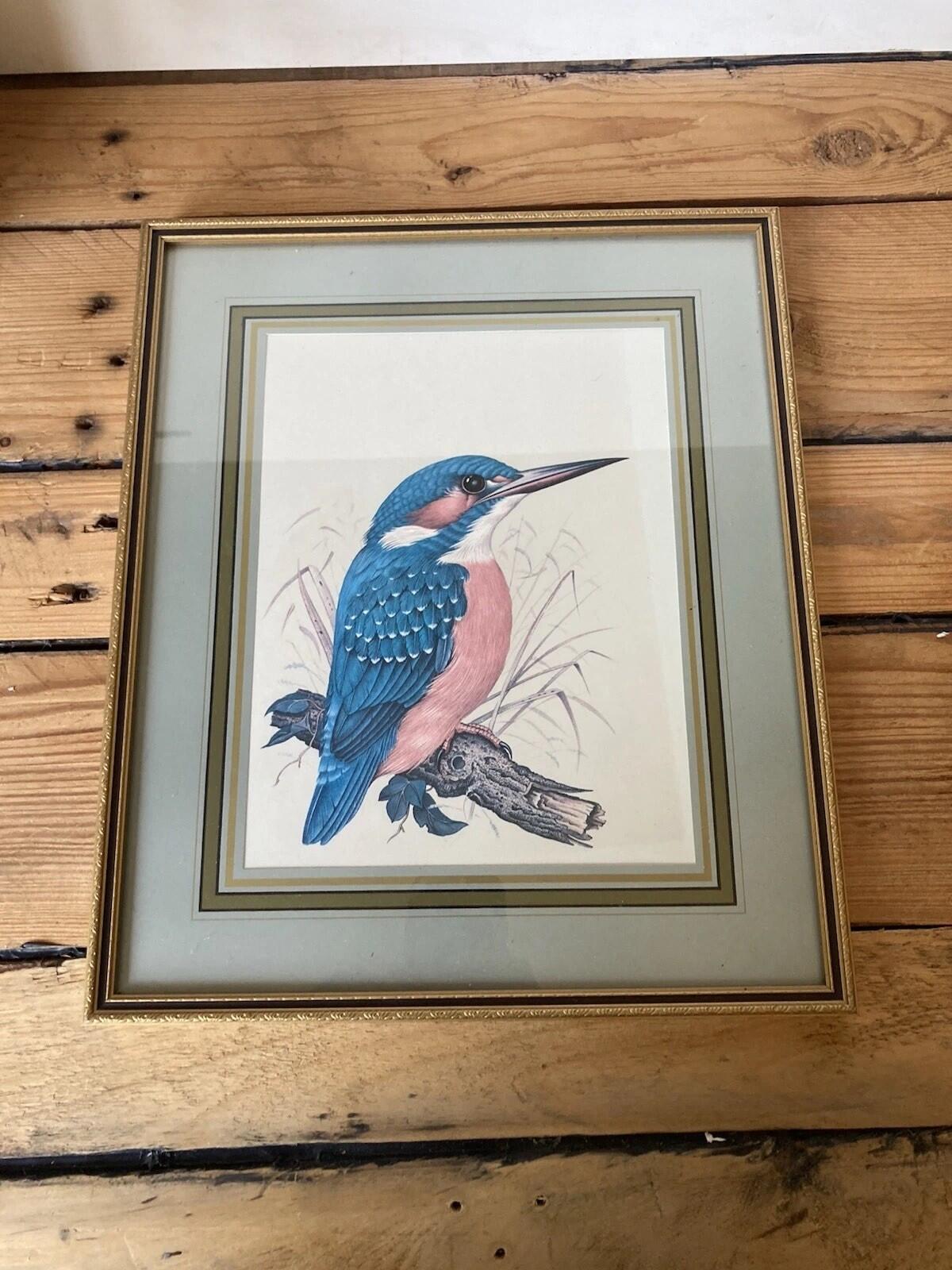 Kingfisher Bird Framed Print Colourful Wildlife Picture Wall Art