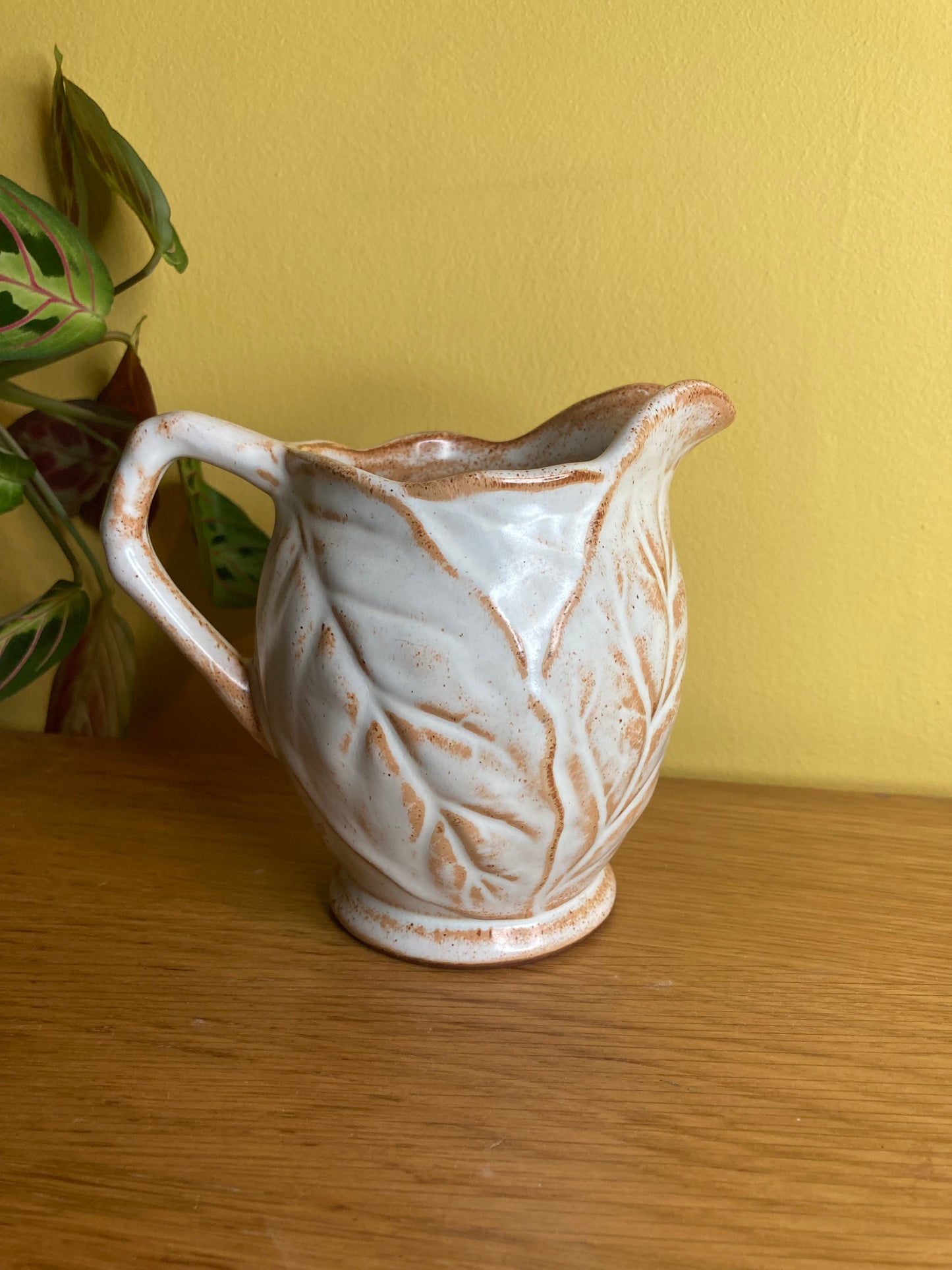 Leaf Pattern Jug Studio Pottery Terracotta with White Glaze