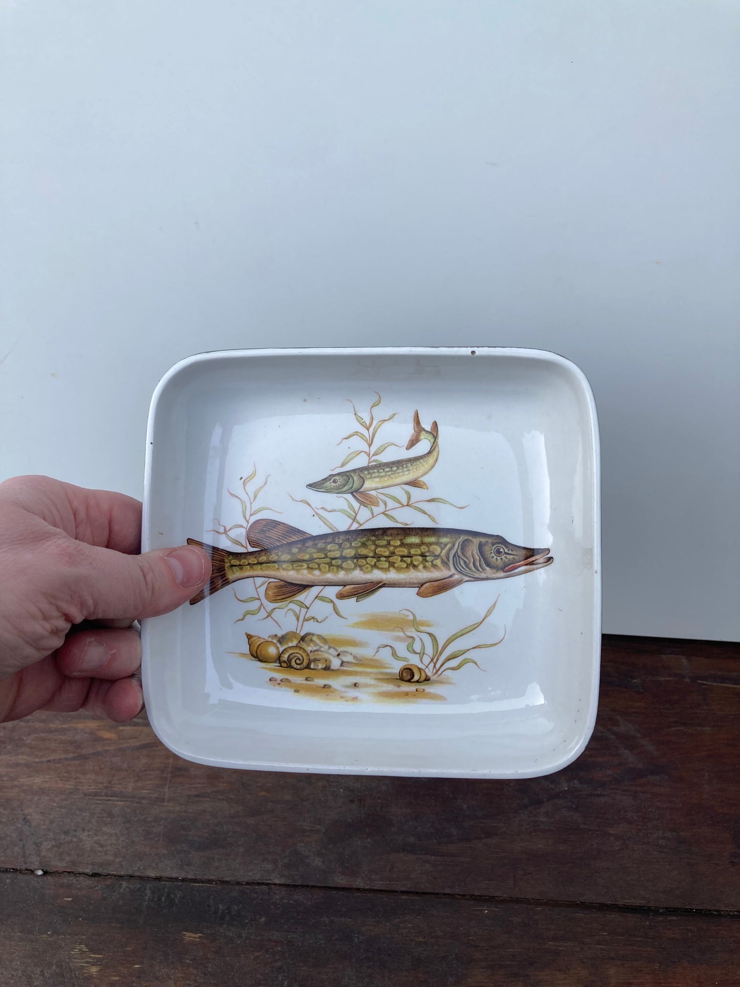 Vintage Pike Fish Themed Small Square Shaped Dish