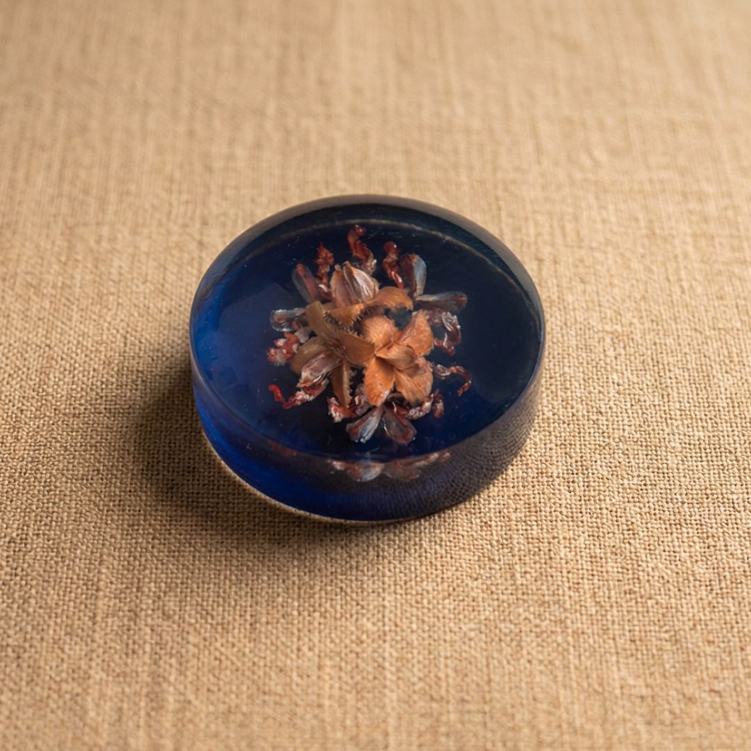 Vintage Skipness Crafts Scotland Resin Paperweight Real Preserved Floral Seed Pods