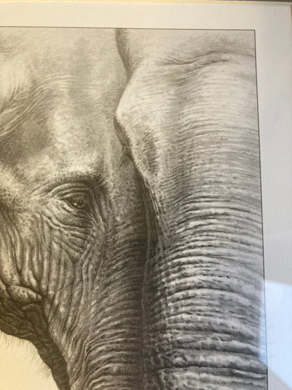 Gary Hodges Limited Edition Print Asian Elephant Pencil Drawing Signed 464/860