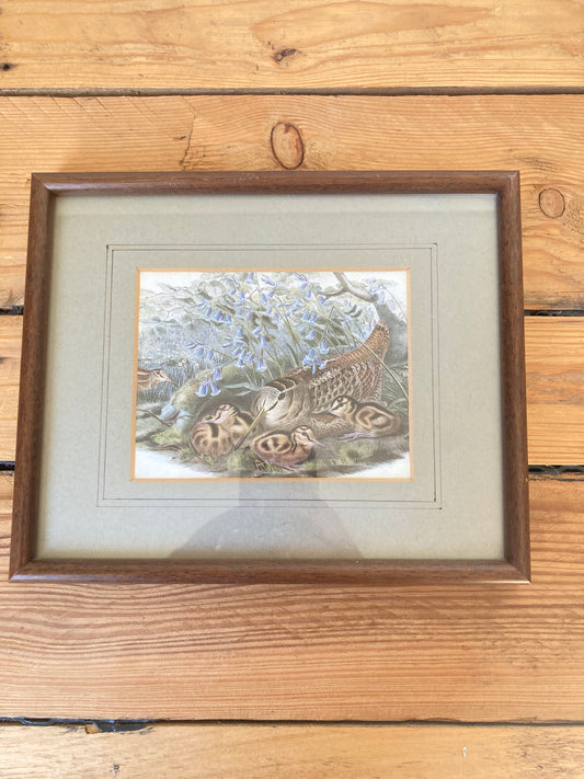 Vintage Basil Ede Woodcock Print, Framed Wildlife Bird Artwork