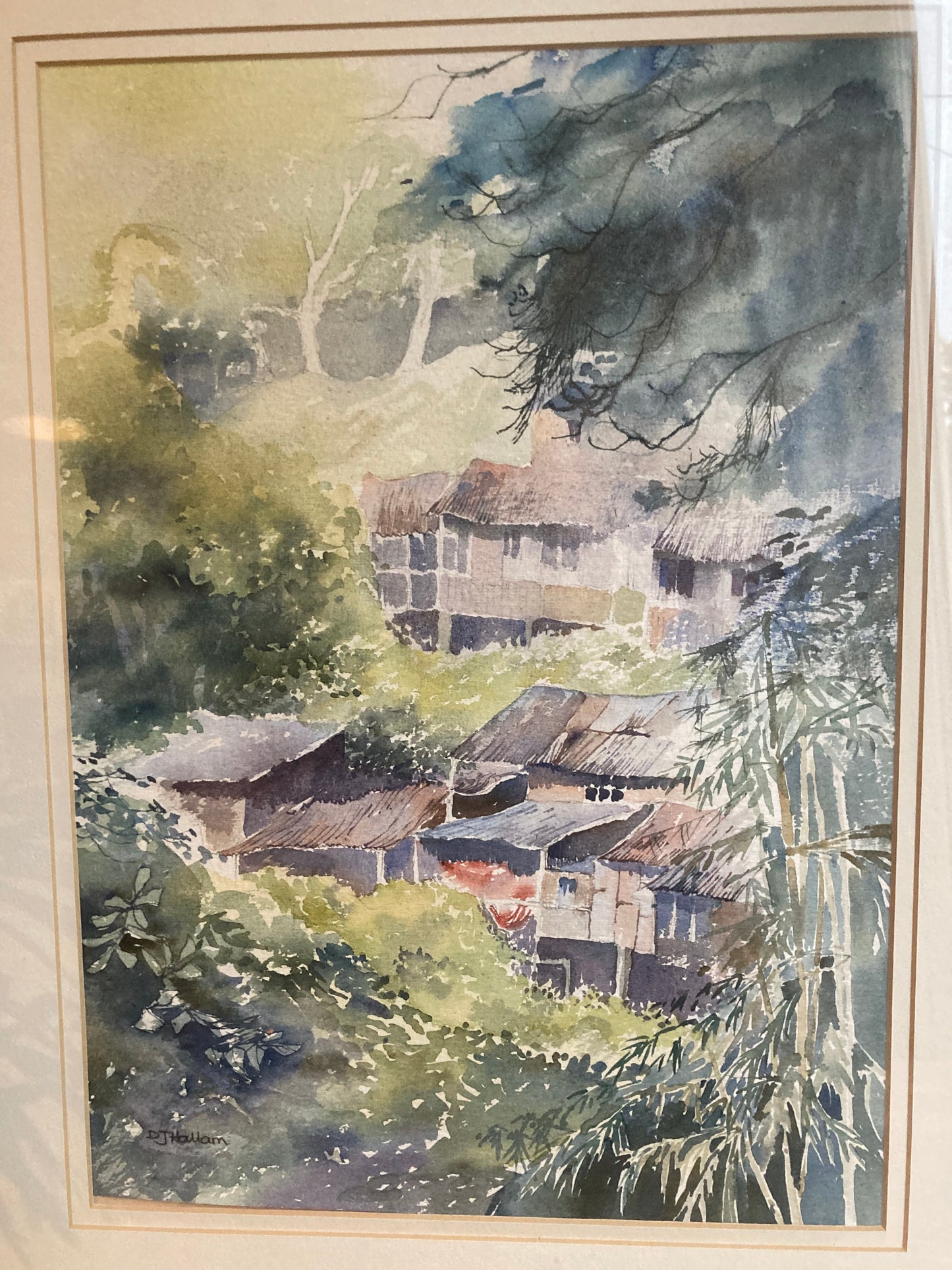 Asian Landscape Watercolour Painting Framed And Mounted Signed D J Hallam Wall