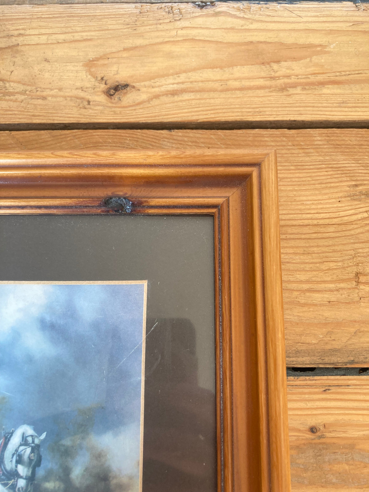Two Horses in a Field Print, Framed