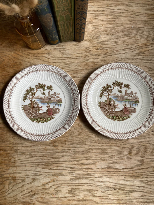 William Adam’s Ironstone Plate x2 Antoinette Rare Plate Wall