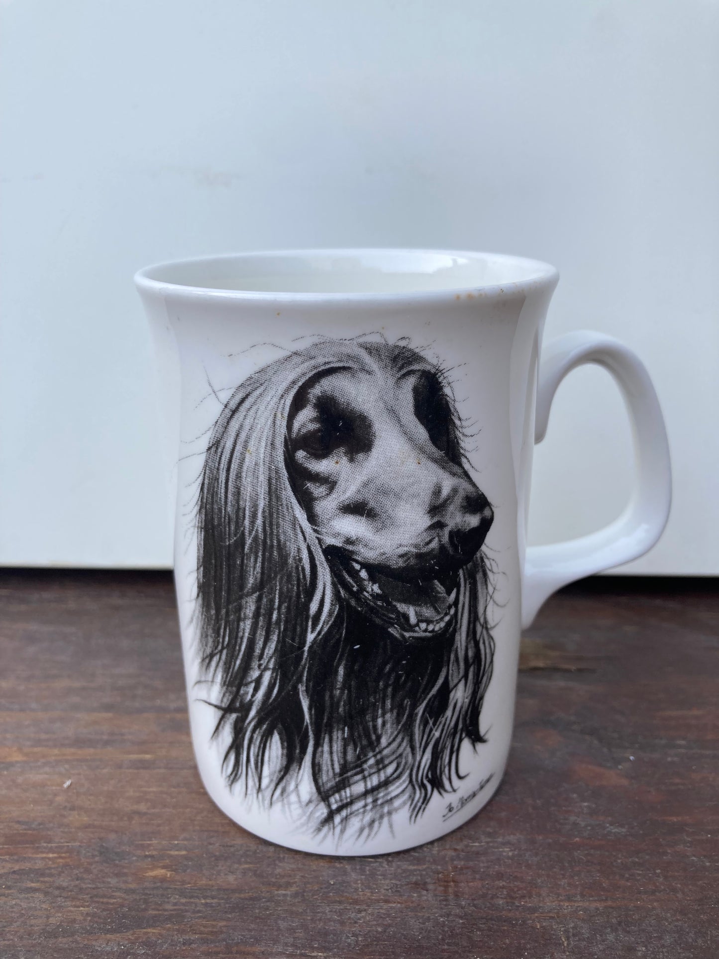 Afghan Hound Mug By Jo Morris-Turner