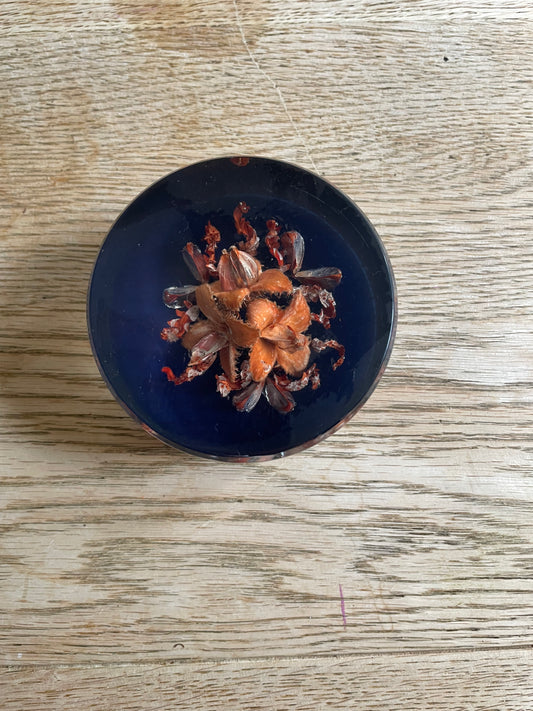 Skipness Crafts Resin Floral Seed Cases Paperweight Vintage