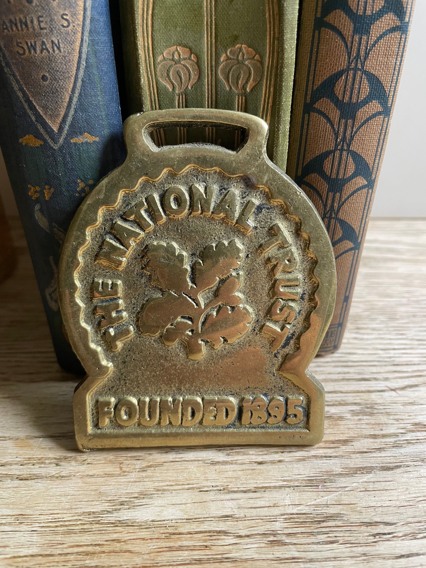 The National Trust Horse Brass