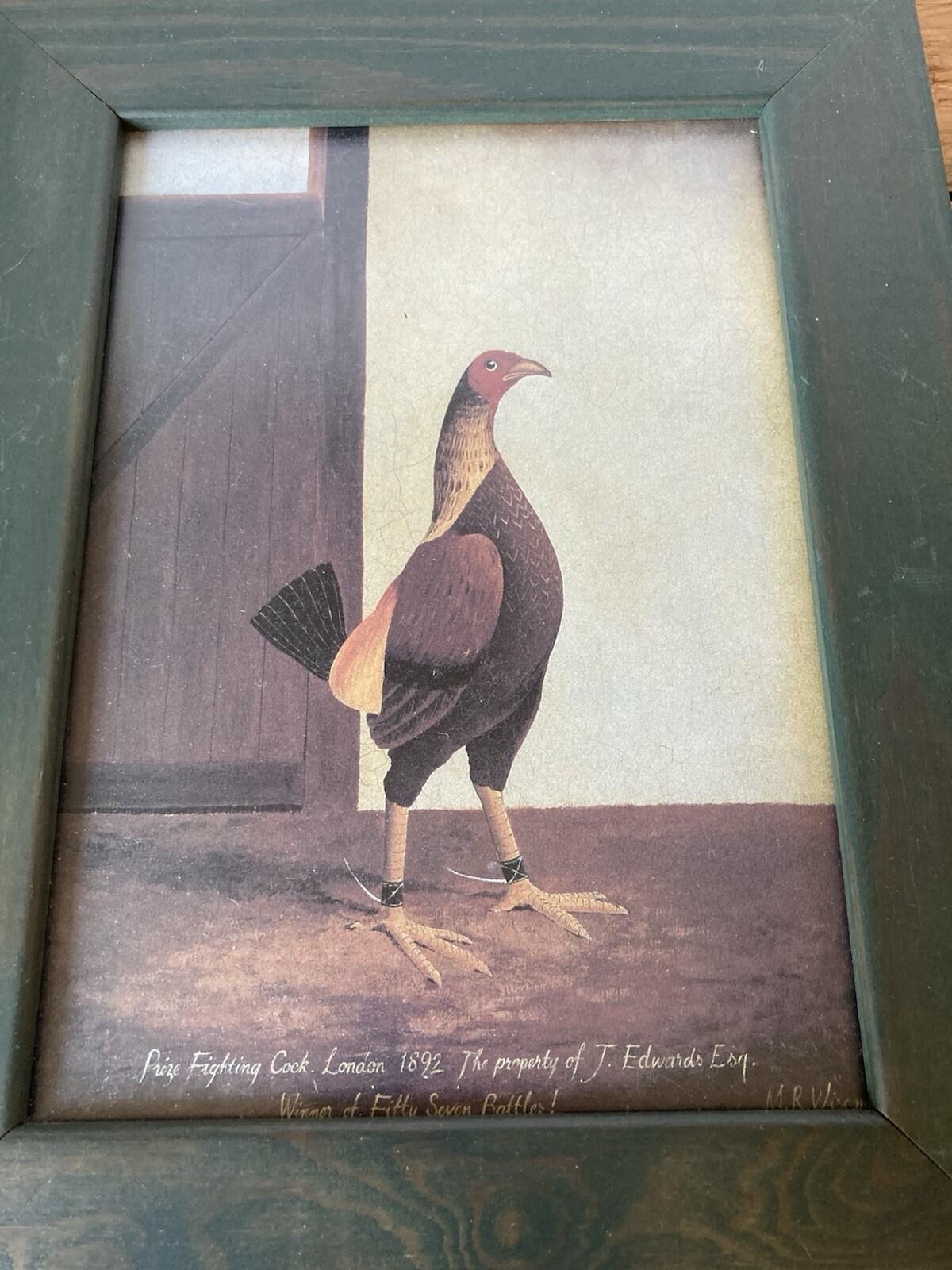 Prize Fighting Cock 1892 Framed Print Game Bird Picture Mancave Bar Decor