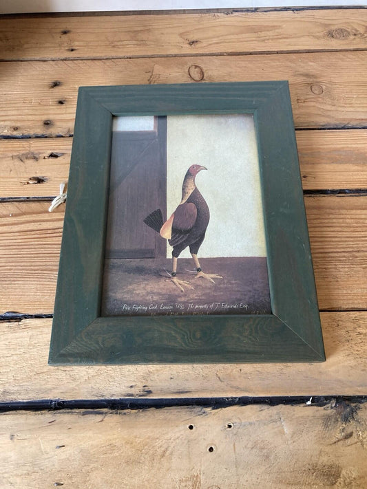 Prize Fighting Cock 1892 Framed Print Game Bird Picture Mancave Bar Decor